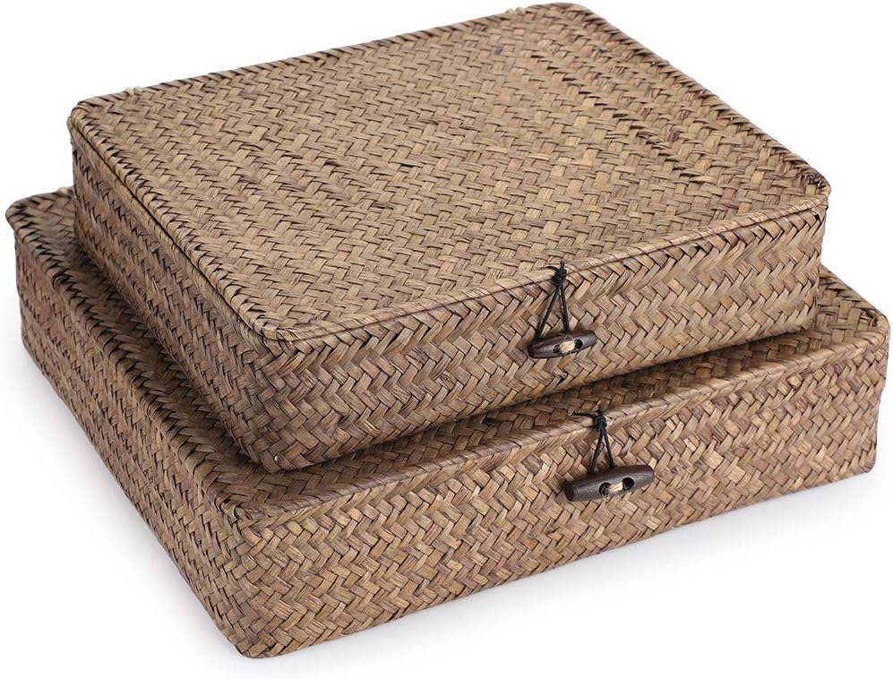 Hipiwe Set of 2 Flat Woven Wicker Storage Bins with Lid Seagrass Basket | Natural Decorative Baskets Multipurpose Home Boxes for Shelf Organizer Home Decor (Coffee)